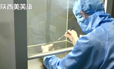 婦科凝膠OEM加工 婦科凝膠OEM加工