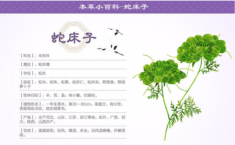 婦科凝膠加工