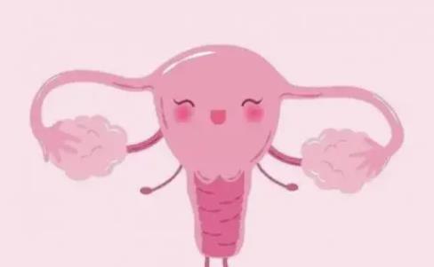 醫(yī)用婦科凝膠定制工廠