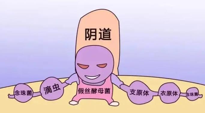 婦科凝膠定制廠家