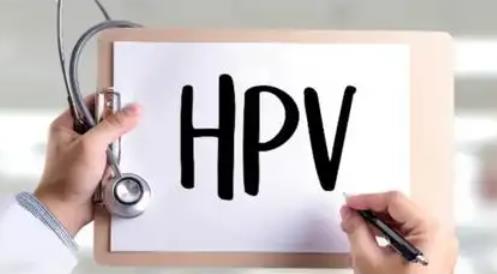 hpv凝膠貼牌廠家